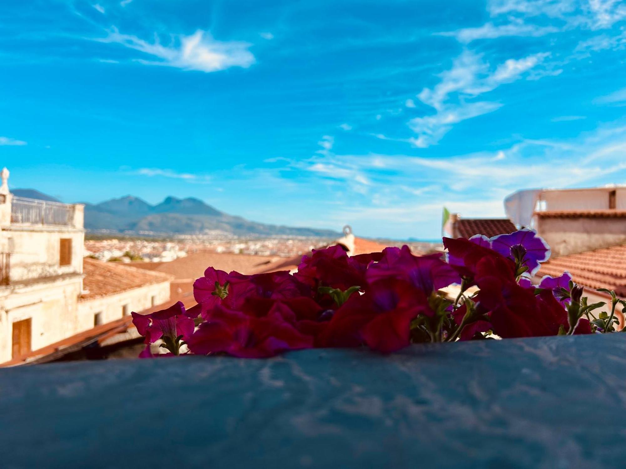 Casa Vacanze Irene Scalea Bagian luar foto